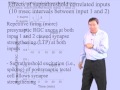 Mu-ming Poo Part 2:H