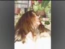 Andreza Andreza
