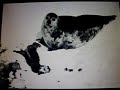 Partido Ciudadano, contra la crueldad animal