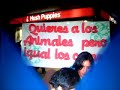 Partido Ciudadano, contra la crueldad animal
