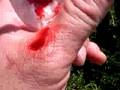 Tenacious Cut