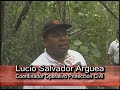 Sigue libre el Tigre del poniente