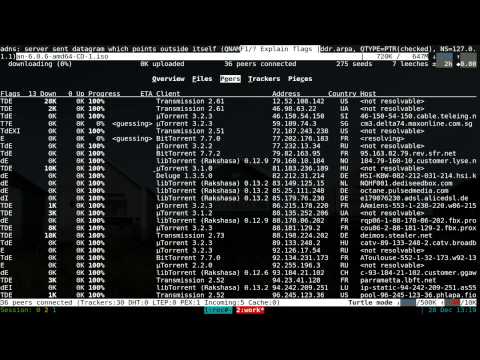 cli - Package: transmission-remote-cli Description: ncurses interface for the Transmission BitTorrent daemon transmission-remote-cli is an ncurses interface for co...