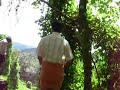 Moothram ozhikkunna payyanmaar