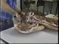 pig parts