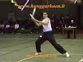 Hung Ga Kung Fu