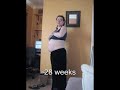stages of pregnancy stages of pregnancy