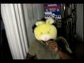 videos de Captain Vermont vs The Yellow Bunny Jihad.avi