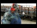 Wasting Time TV - \"Alien Probing\"