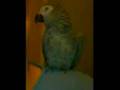 videos de my baby darcey