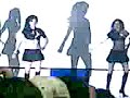 Chikas Mole 1