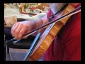 Dan Levenson - Fiddle