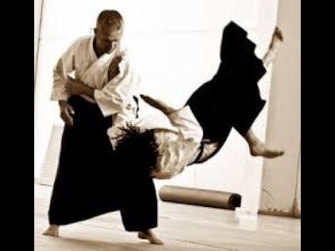 Aikido vs Aikido, good Randori. Рандори. 27.11.17