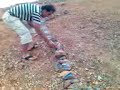 Zid Amazigh MirLeft Aznked Ayskern Mayad
