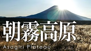 絶景空撮 朝霧高原 富士山 - Aerial view of Mt.Fuji from Asagari Plateau