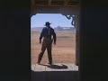 The Searchers