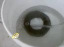 HHo2