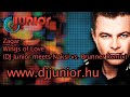 Zagar – Wings of Love (DJ Junior meets Naksi vs. Brunner Remix)
