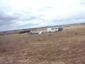 Earthcore 2008