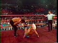 Flair/Arn vs. Doom Pt 3