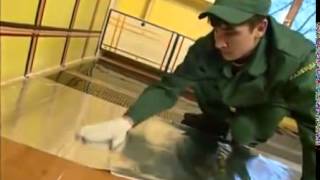 Пленочные полы Calorique - скидка 10% Пленочные полы Calorique - скидка 10%