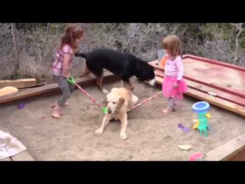 Moving a bobo mountain