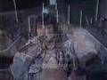 Rosana Fiengo - Amor divido ao vivo no Globo de ouro em 1989