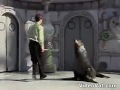 uhh ook een....hond uhh ook een....hond