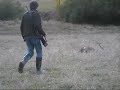 Ver vídeo