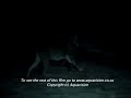 lions of crocodile river