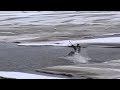 Iceberg Kitesnow 2010-03-14