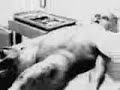 Autopsia del extraterrestre de Roswell