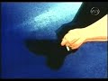 Angel night - City Hunter 2 Opening