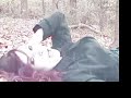 Electric blue Eyes Video