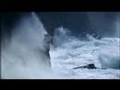 Albatros - Fanvideo