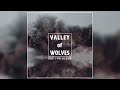 Valley Of Wolves - Lions Inside