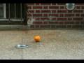 2 oranges