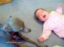 bebe-vs-perro