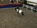 Figiel clear at Aach - 1.20m