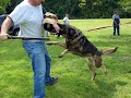 Protection work pictures
