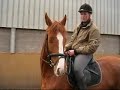 manege noot