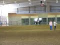 rayvnshow3