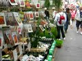 Bloemenmarkt, Amsterdam