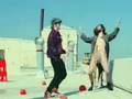 Fall out boy - I don't care music video