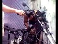 rdz quando pegou a primeira vez