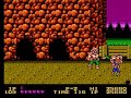 Double Dragon Trilogy Speedrun (single segment)