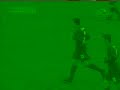 Amical-cu-Flacara-Mi