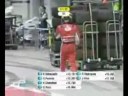 Perros por la pista
