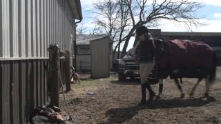 Electrolux Commercial Washers