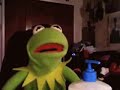 Kermit the Frog Watches Mythbusters Kermit the Frog Watches Mythbusters